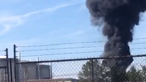A major nuclear power plant in South Carolina caught fire Sunday, which led to the shutdown of a reactor. - Sputnik International
