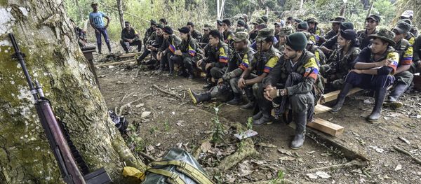 Revolutionary Armed Forces of Colombia (FARC) guerrillas listen during a class on the peace process between the Colombian government and their force, at a camp in the Colombian mountains. (File) Revolutionary Armed Forces of Colombia (FARC) guerrillas listen during a class on the peace process between the Colombian government and their force, at a camp in the Colombian mountains. (File) - Sputnik International