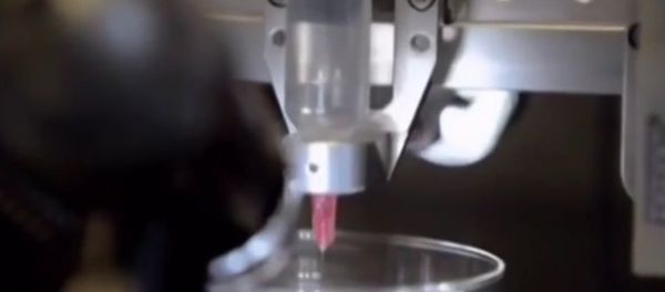 3D printed human tissue permeated with blood vessels is now a reality. It was created by using modified printer cartridges and extracted cells 3D printed human tissue permeated with blood vessels is now a reality. It was created by using modified printer cartridges and extracted cells - Sputnik International