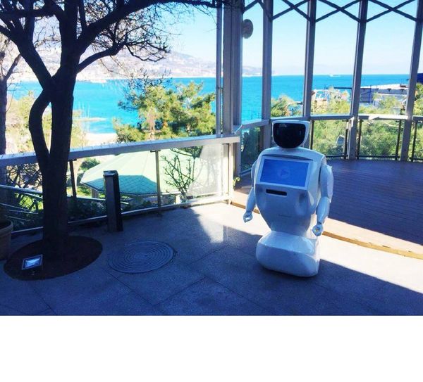 Robot - Sputnik International