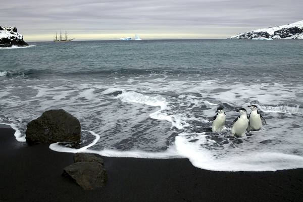 Heroic Saga of Antarctica: The Beauty of Emptiness and Cold Heroic Saga of Antarctica: The Beauty of Emptiness and Cold - Sputnik International