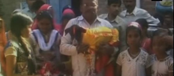 It happens only in India! A big fat dog wedding in UP with 5000 guests - Sputnik International