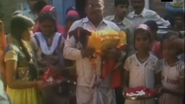 It happens only in India! A big fat dog wedding in UP with 5000 guests - Sputnik International