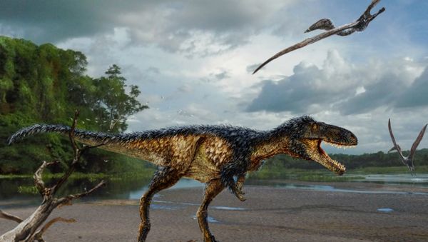 Life reconstruction of the new tyrannosaur “Timurlengia euotica” in its environment 90 million years ago. Life reconstruction of the new tyrannosaur “Timurlengia euotica” in its environment 90 million years ago. - Sputnik International