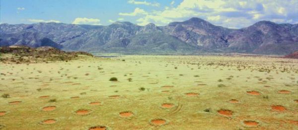 Fairy circles in Namibia's Marienfluss valley Fairy circles in Namibia's Marienfluss valley - Sputnik International
