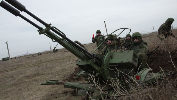 An anti-aircraft gun ZU-23 - Sputnik International