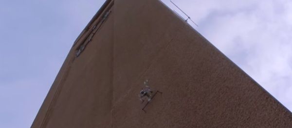 Cockroach-Like Robot Flies and Climbs Walls Cockroach-Like Robot Flies and Climbs Walls - Sputnik International