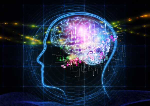  Exercise Plays Vital Role Maintaining Brain Health - Sputnik International