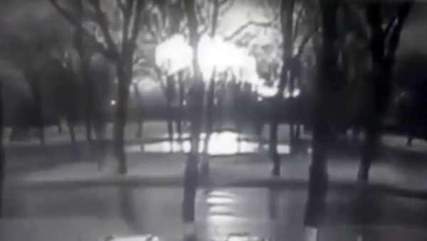 This frame grab provided by Rostov-on-Don I General company from black and white CCTV footage shows road and behind line of trees fireball, believed to be a plane on fire, crashes to ground at the Rostov-on-Don airport, about 950 kilometers (600 miles) south of Moscow, Russia Saturday, March 19, 2016. This frame grab provided by Rostov-on-Don I General company from black and white CCTV footage shows road and behind line of trees fireball, believed to be a plane on fire, crashes to ground at the Rostov-on-Don airport, about 950 kilometers (600 miles) south of Moscow, Russia Saturday, March 19, 2016. - Sputnik International