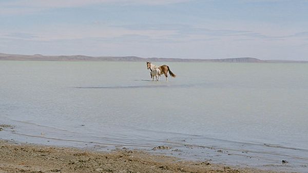 Not by Snow Alone: Siberian Tale of Pristine Nature and Original Culture - Sputnik International