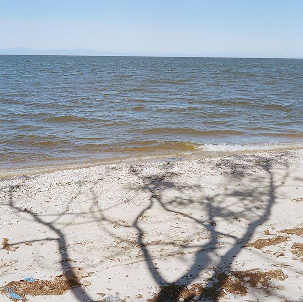 Not by Snow Alone: Siberian Tale of Pristine Nature and Original Culture - Sputnik International