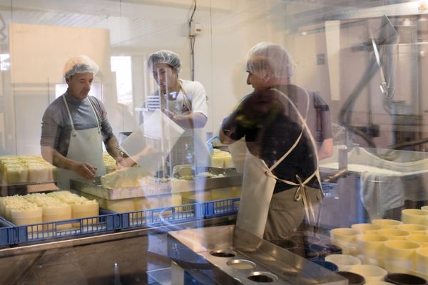 Workers preparing Fourme de Montbrison cheese at the Hautes Chaumes dairy in Sauvain, near Montbrison, central France - Sputnik International
