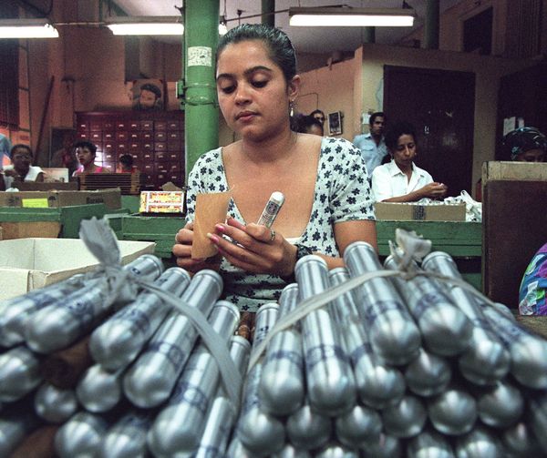 Cuban La Corona cigar factory fits cigars known as Punch, into aluminum casings as they are prepared for exportation in Havana (File) - Sputnik International
