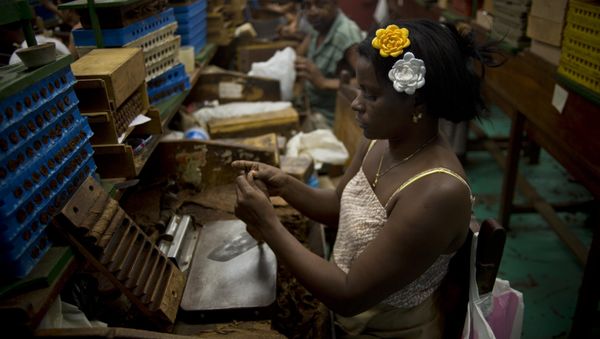 A tobacco worker roll cigars at the Corona cigar factory in Havana, Cuba, Thursday, Feb. 26, 2015 A tobacco worker roll cigars at the Corona cigar factory in Havana, Cuba, Thursday, Feb. 26, 2015 - Sputnik International