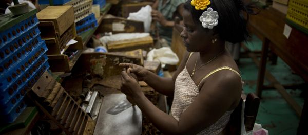 A tobacco worker roll cigars at the Corona cigar factory in Havana, Cuba, Thursday, Feb. 26, 2015 A tobacco worker roll cigars at the Corona cigar factory in Havana, Cuba, Thursday, Feb. 26, 2015 - Sputnik International