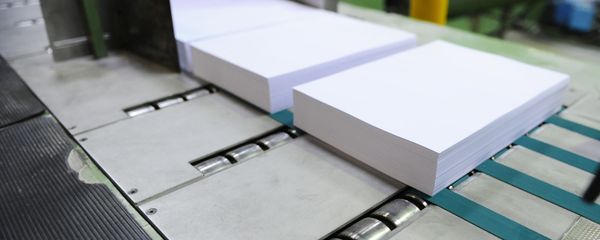 Paper being manufactured on a production line Paper being manufactured on a production line - Sputnik International
