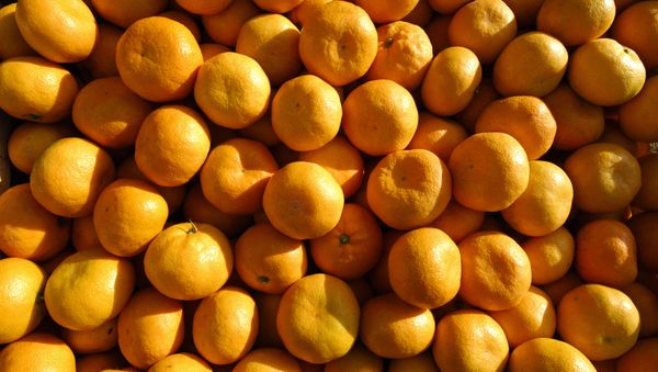 Tangerines in a box - Sputnik International