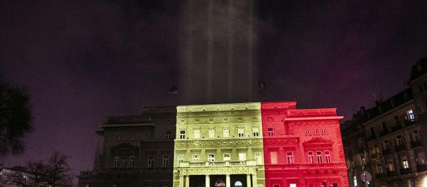 Belgrade's Town Council building - Sputnik International