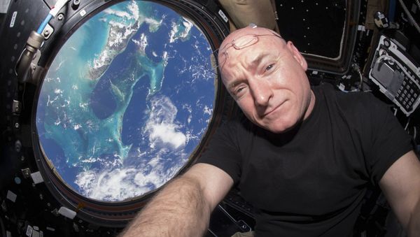 NASA astronaut Scott Kelly is seen inside the cupola of the International Space Station, a special module that provides a 360-degree viewing of the Earth and the station in this undated photo released on March 11, 2016 - Sputnik International