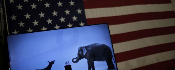 The mascots of the Democratic and Republican parties, a donkey for the Democrats and an elephant for the GOP, are seen on a video screen at Democratic U.S. presidential candidate Hillary Clinton's campaign rally in Cleveland, Ohio March 8, 2016 The mascots of the Democratic and Republican parties, a donkey for the Democrats and an elephant for the GOP, are seen on a video screen at Democratic U.S. presidential candidate Hillary Clinton's campaign rally in Cleveland, Ohio March 8, 2016 - Sputnik International