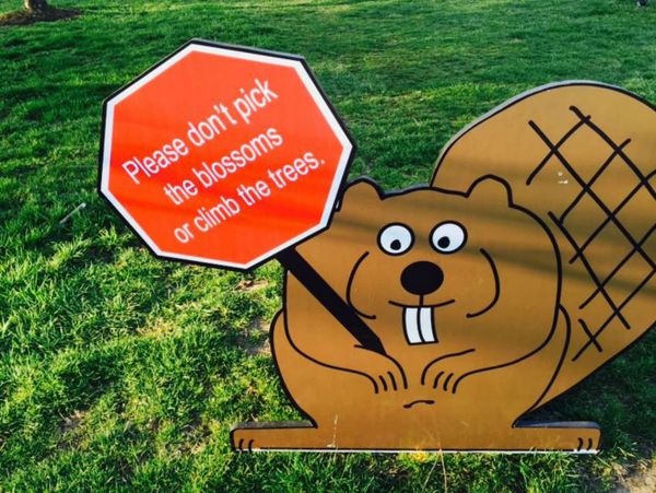 Friendly advice - Sputnik International