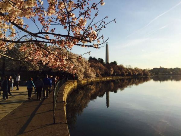 The Washington Monument - Sputnik International