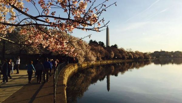 The Washington Monument - Sputnik International