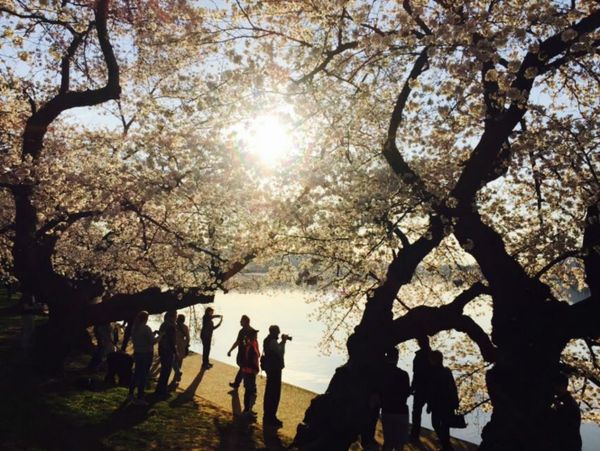 Tourists along the water - Sputnik International