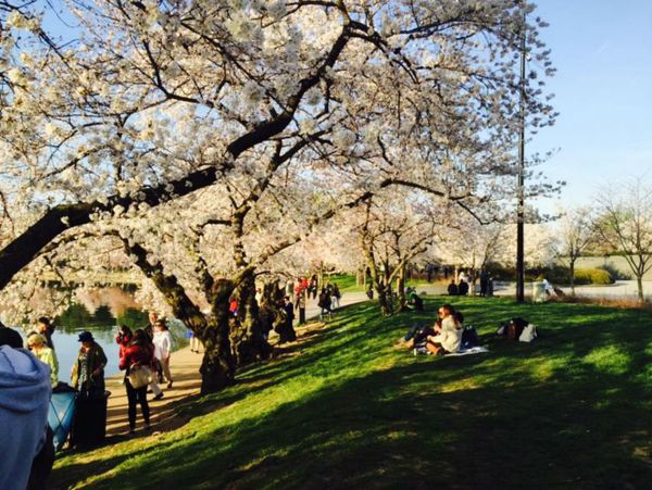 A Spring, Thursday morning. - Sputnik International