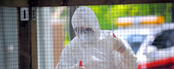 A South Korean quarantine official decontaminates a small aviary, which was hit by bird flu A South Korean quarantine official decontaminates a small aviary, which was hit by bird flu - Sputnik International