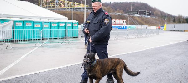 An Austrian police officer patrols with a dog at an refugee centre in Spielfeld at the Austrian-Slovenian border as Austria imposes a new daily migrant limit on February 19, 2016. An Austrian police officer patrols with a dog at an refugee centre in Spielfeld at the Austrian-Slovenian border as Austria imposes a new daily migrant limit on February 19, 2016. - Sputnik International