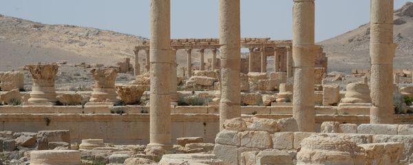 Historic site in Palmyra destroyed in military operations - Sputnik International