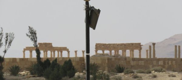 Palmyra Palmyra - Sputnik International