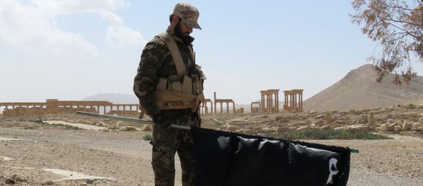 A Syrian Army soldier carries a Daesh flag as he stands on a street in the ancient city of Palmyra on March 27, 2016 - Sputnik International
