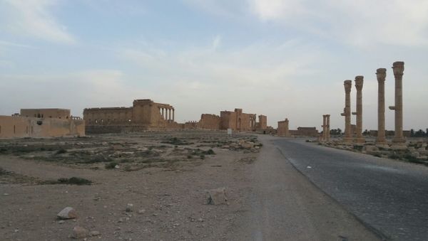 Syrian Army restores Palmyra’s airport - Sputnik International