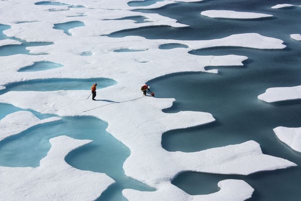 Global Warming Alert: Arctic Ice Continues to Melt Like Butter Global Warming Alert: Arctic Ice Continues to Melt Like Butter - Sputnik International