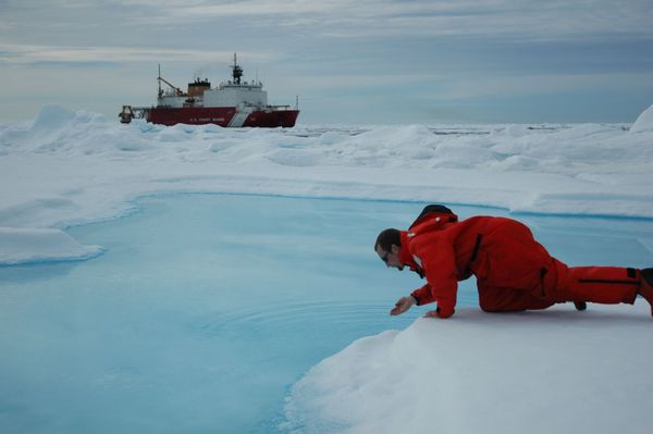 Global Warming Alert: Arctic Ice Continues to Melt Like Butter Global Warming Alert: Arctic Ice Continues to Melt Like Butter - Sputnik International