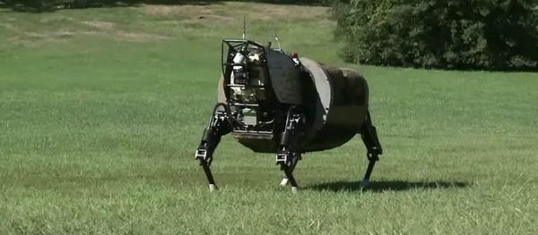 A US biomorphic robot - Sputnik International
