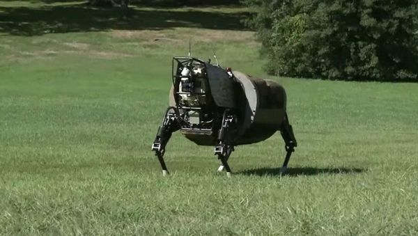 A US biomorphic robot A US biomorphic robot - Sputnik International