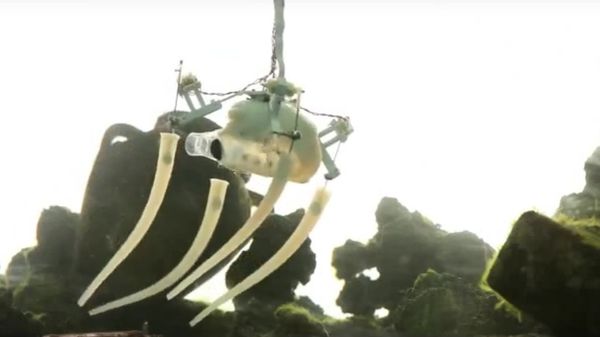 The Italian biomorphic robot Poseidon The Italian biomorphic robot Poseidon - Sputnik International
