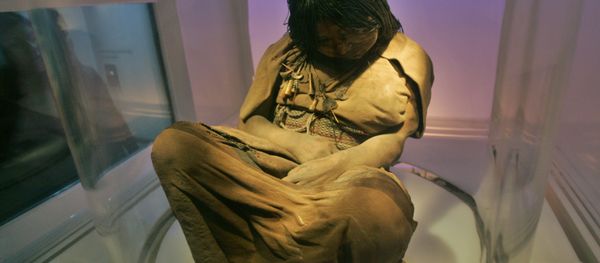 Ancient DNA Shows Europeans Wiped Out Indigenous Americans - Sputnik International