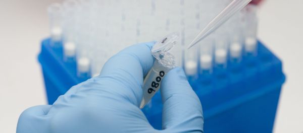 A medical researcher works on results of tests for various diseases, including Zika, at the Gorgas Memorial laboratory Panama City, Friday, Feb. 5, 2016 - Sputnik International