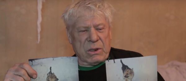 Russia: Bratsk launches desperate search for pensioner's German shepherd Yan Russia: Bratsk launches desperate search for pensioner's German shepherd Yan - Sputnik International