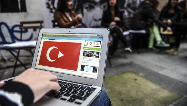 A person uses a laptop computer showing a Turkish flag on March 27, 2014 in Istanbul A person uses a laptop computer showing a Turkish flag on March 27, 2014 in Istanbul - Sputnik International