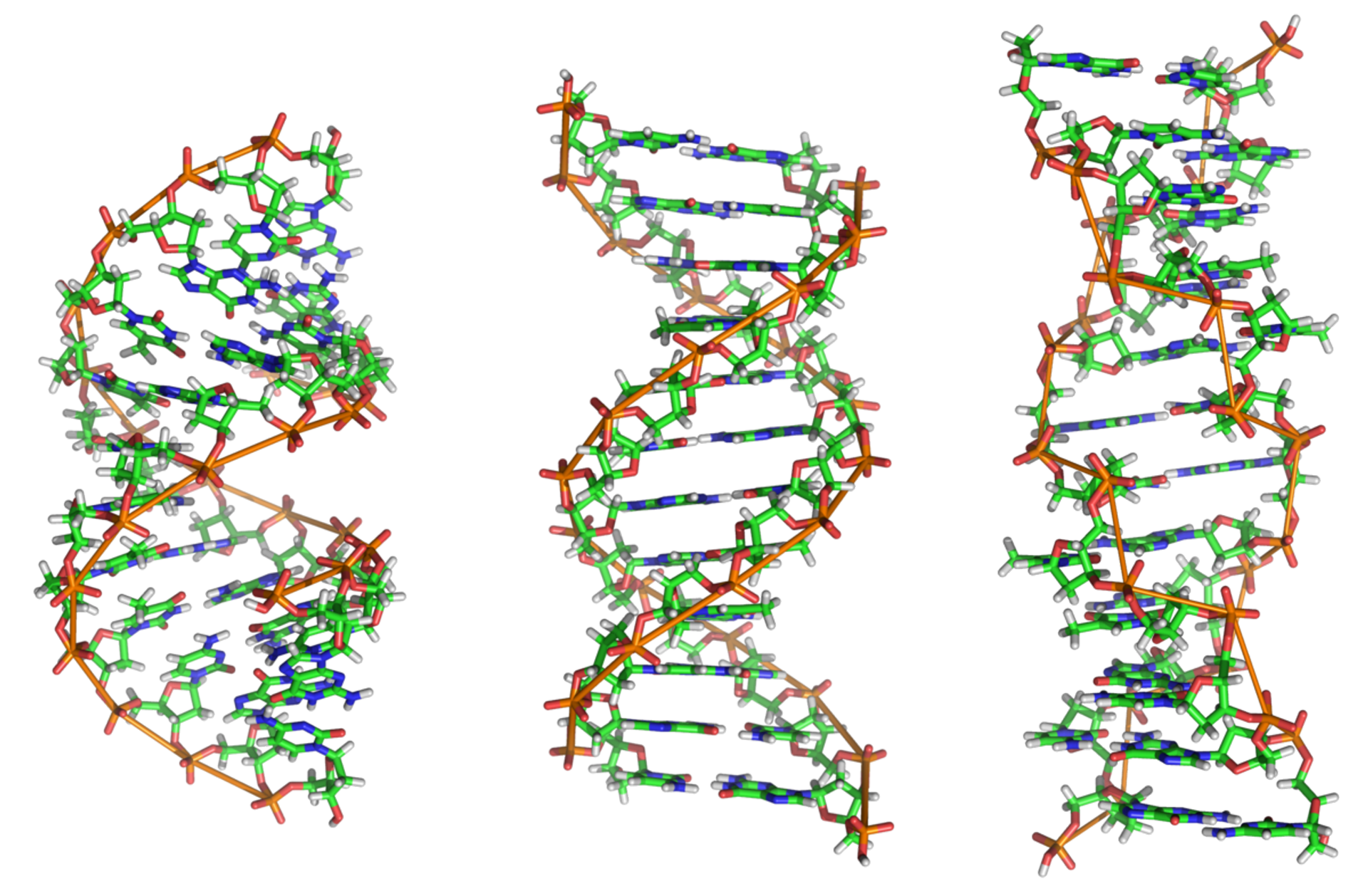 Scientists in Siberia Start Working on Russia's First DNA Printer - Sputnik International, 1920, 29.06.2021