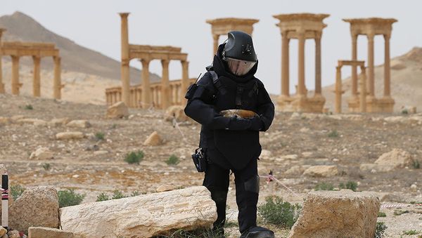 Expert from Russia's International Mine Action Center in Palmyra Expert from Russia's International Mine Action Center in Palmyra - Sputnik International