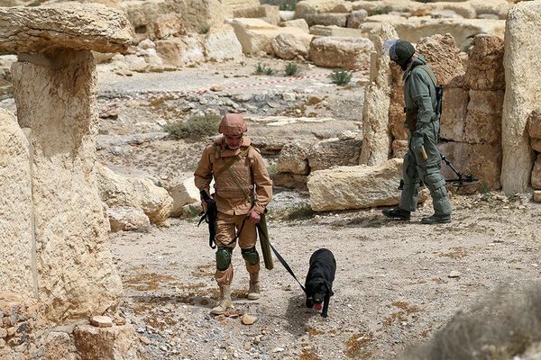 Experts from Russia's International Mine Action Center in Palmyra - Sputnik International