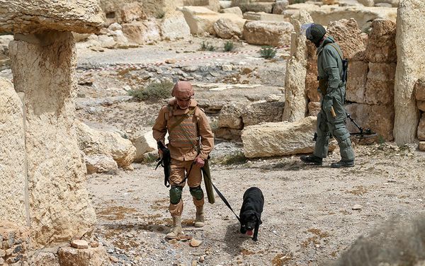 Experts from Russia's International Mine Action Center in Palmyra Experts from Russia's International Mine Action Center in Palmyra - Sputnik International