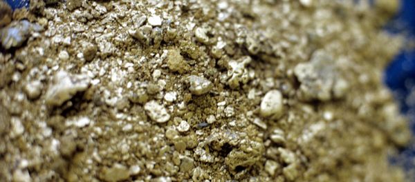 Free gold Free gold - Sputnik International