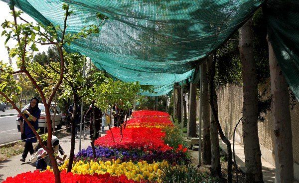 Tulips in Tehran Tulips in Tehran - Sputnik International